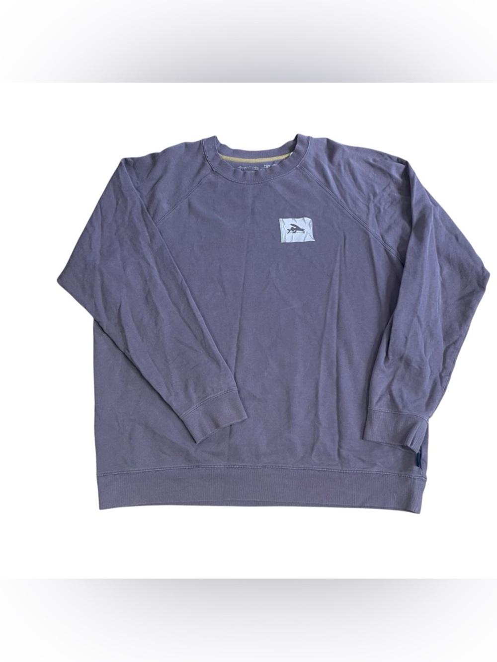 Patagonia Men's Crewneck Sweatshirt